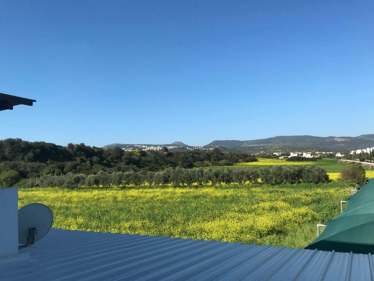 Latchi Holiday Flat Πόλη Εξωτερικό φωτογραφία
